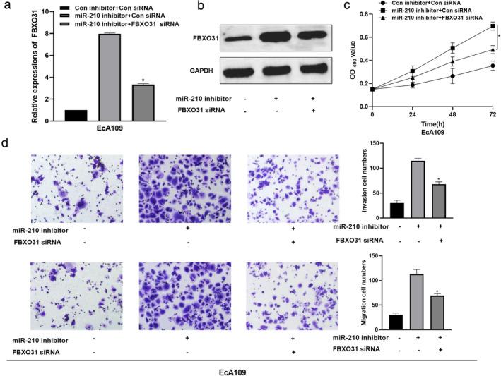 https://cdn.ncbi.nlm.nih.gov/pmc/blobs/4dc7/7952796/7e356ee70968/TCA-12-932-g002.jpg