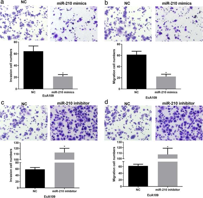https://cdn.ncbi.nlm.nih.gov/pmc/blobs/4dc7/7952796/8cea8326247c/TCA-12-932-g006.jpg
