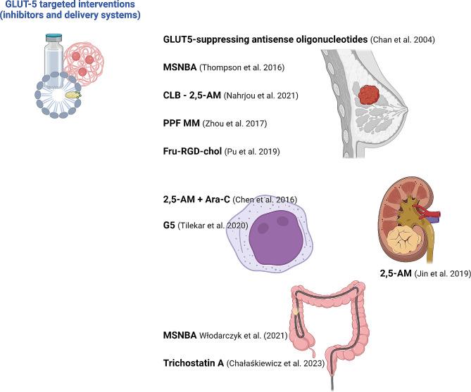 https://cdn.ncbi.nlm.nih.gov/pmc/blobs/4dc9/11304774/2ee66044d635/10020_2024_879_Fig3_HTML.jpg