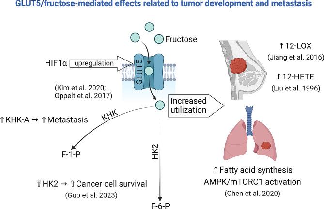 https://cdn.ncbi.nlm.nih.gov/pmc/blobs/4dc9/11304774/ab9ffaeecd5a/10020_2024_879_Fig1_HTML.jpg