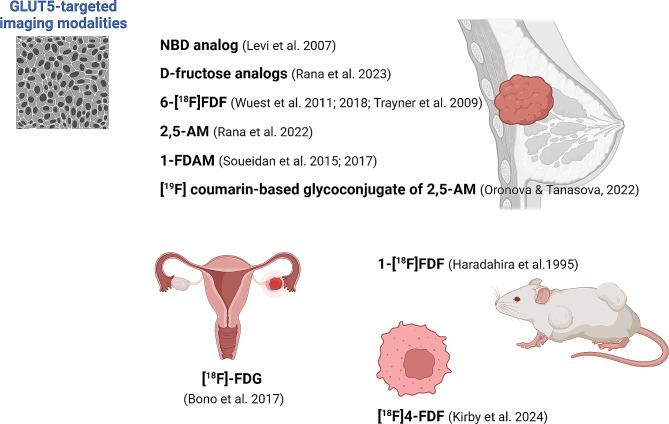https://cdn.ncbi.nlm.nih.gov/pmc/blobs/4dc9/11304774/cee4fdf3f554/10020_2024_879_Fig2_HTML.jpg