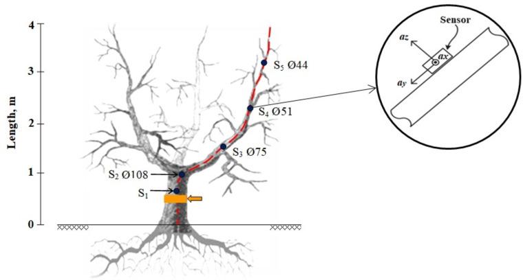 https://cdn.ncbi.nlm.nih.gov/pmc/blobs/4dcb/11971451/9c231c134a35/41598_2025_96515_Fig2_HTML.jpg