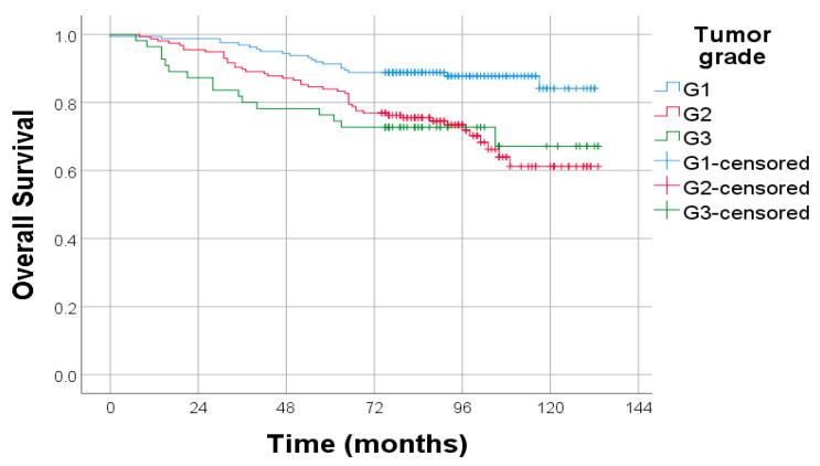 https://cdn.ncbi.nlm.nih.gov/pmc/blobs/4dcb/12428151/68705f62126a/diagnostics-15-02172-g004.jpg