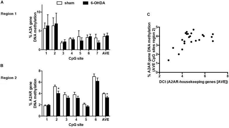 https://cdn.ncbi.nlm.nih.gov/pmc/blobs/4dcb/6635589/2158d4f99d84/fnins-13-00683-g005.jpg
