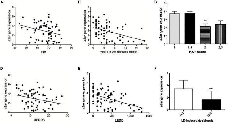 https://cdn.ncbi.nlm.nih.gov/pmc/blobs/4dcb/6635589/473192c20324/fnins-13-00683-g003.jpg