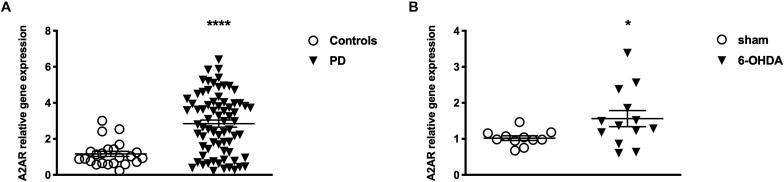 https://cdn.ncbi.nlm.nih.gov/pmc/blobs/4dcb/6635589/c013c2e54aa1/fnins-13-00683-g002.jpg