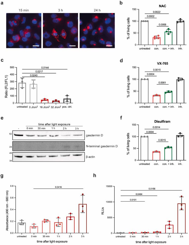 https://cdn.ncbi.nlm.nih.gov/pmc/blobs/4dce/11378935/53a3858a0d6f/gr6.jpg