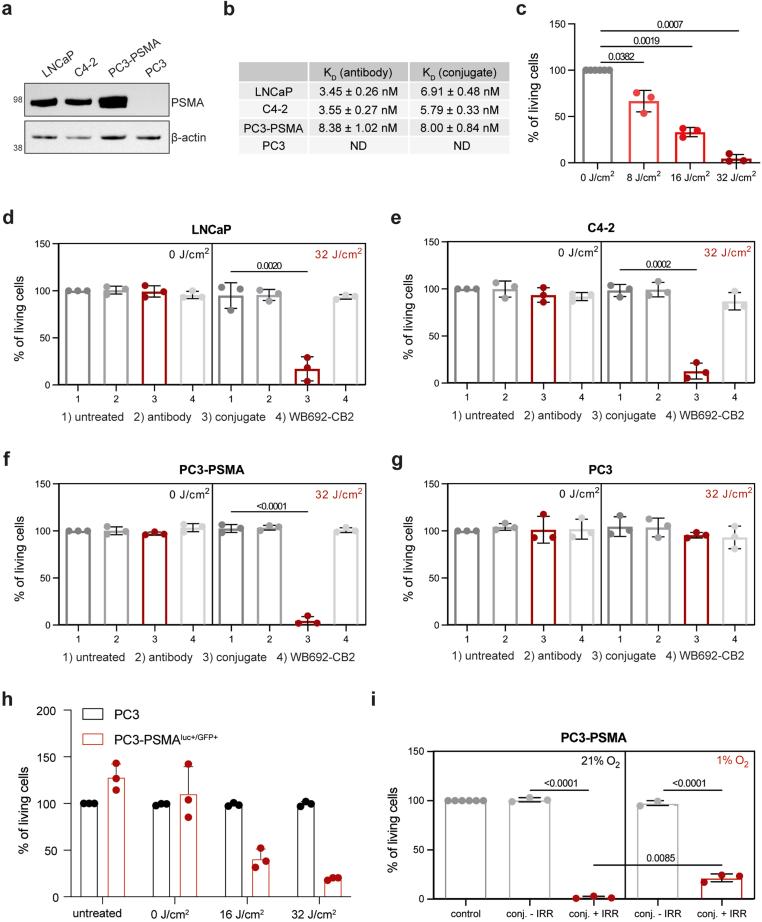 https://cdn.ncbi.nlm.nih.gov/pmc/blobs/4dce/11378935/f094951270b7/gr4.jpg