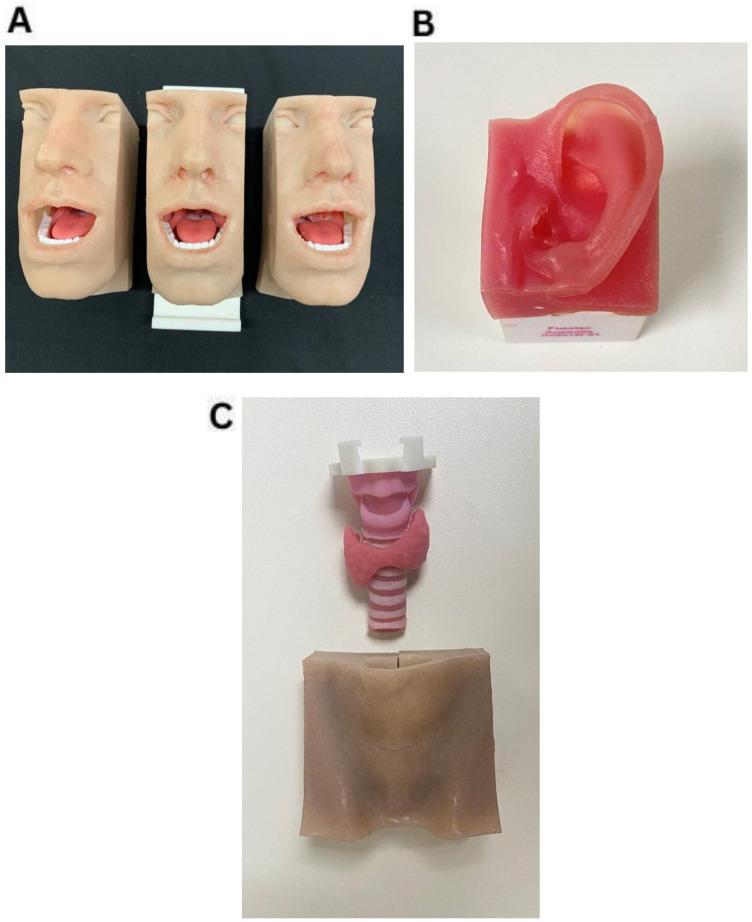 https://cdn.ncbi.nlm.nih.gov/pmc/blobs/4dd0/12067831/49eece245b30/bmjopen-15-5-g002.jpg