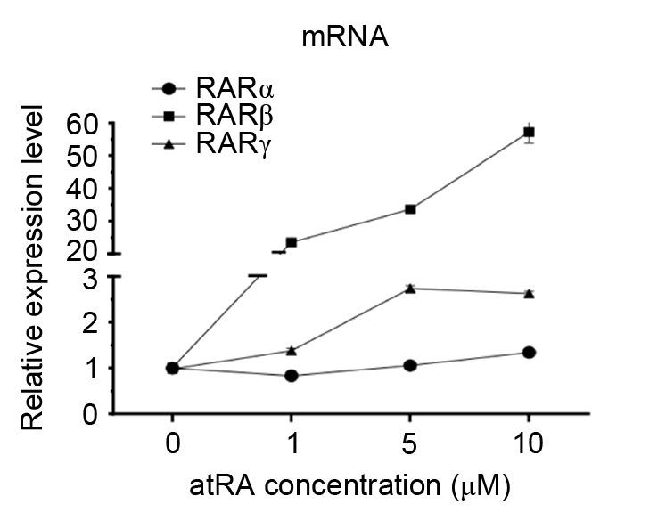 https://cdn.ncbi.nlm.nih.gov/pmc/blobs/4dd0/5547936/457cfe2602e2/MMR-16-03-2538-g04.jpg