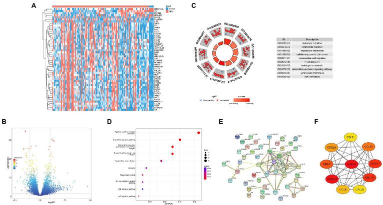 https://cdn.ncbi.nlm.nih.gov/pmc/blobs/4dd2/9730243/c68a124c35bc/fmicb-13-1052917-g001.jpg