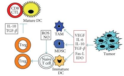 https://cdn.ncbi.nlm.nih.gov/pmc/blobs/4dd3/2964897/fe52e98ef902/CDI2010-516768.003.jpg