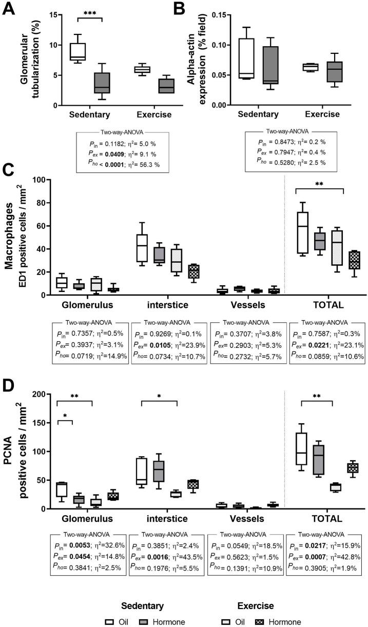 https://cdn.ncbi.nlm.nih.gov/pmc/blobs/4dd4/12146172/2a1f61b79812/fphys-16-1543077-g003.jpg