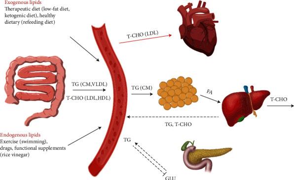 https://cdn.ncbi.nlm.nih.gov/pmc/blobs/4dd5/8500750/9b6883d6320b/BMRI2021-3047437.001.jpg