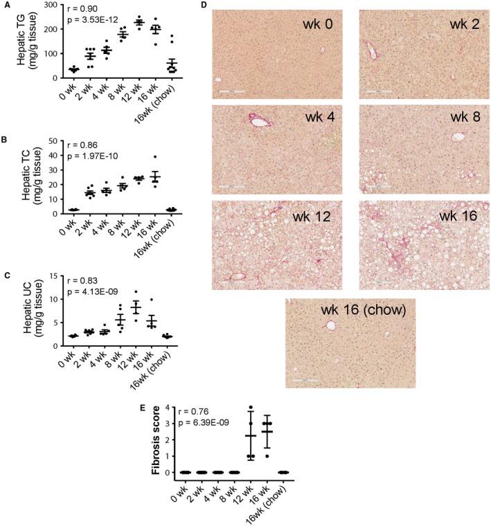 https://cdn.ncbi.nlm.nih.gov/pmc/blobs/4dd6/6492673/106a05900a73/HEP-68-2182-g001.jpg