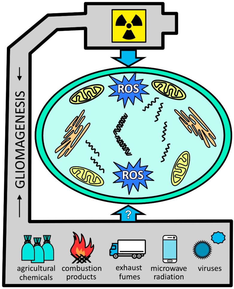 https://cdn.ncbi.nlm.nih.gov/pmc/blobs/4dd7/12347831/5030d5d8b6be/ijms-26-07425-g001.jpg