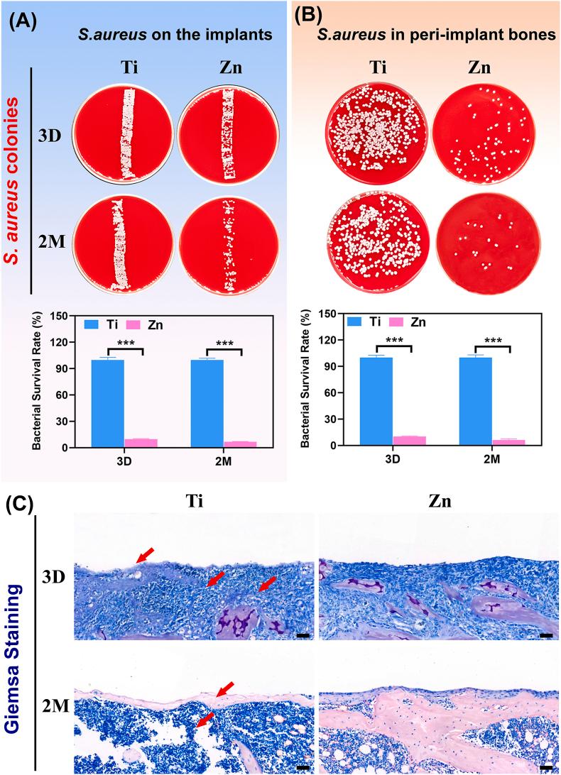 https://cdn.ncbi.nlm.nih.gov/pmc/blobs/4dd7/9483647/50f412775a27/gr6.jpg