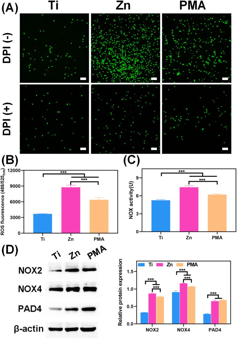 https://cdn.ncbi.nlm.nih.gov/pmc/blobs/4dd7/9483647/55aed51d44ec/gr4.jpg