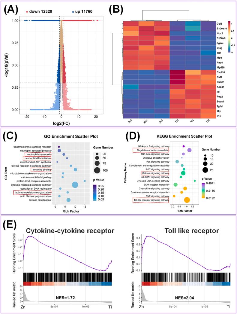 https://cdn.ncbi.nlm.nih.gov/pmc/blobs/4dd7/9483647/9f52b85d6f09/gr3.jpg