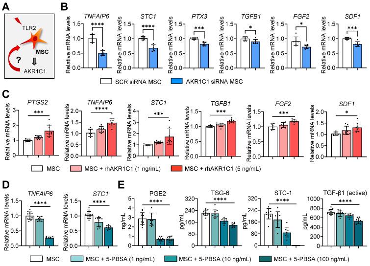 https://cdn.ncbi.nlm.nih.gov/pmc/blobs/4dd8/11373616/c6cb48639a79/thnov14p4713g006.jpg