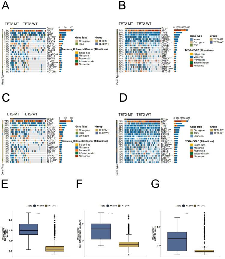 https://cdn.ncbi.nlm.nih.gov/pmc/blobs/4dd9/10861813/109e83f7a72a/jcav15p1414g007.jpg