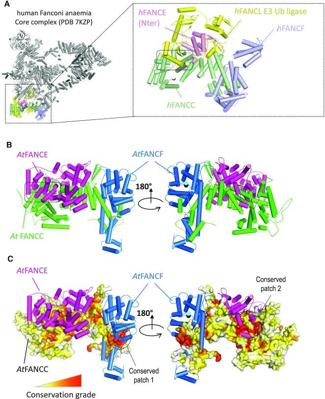 https://cdn.ncbi.nlm.nih.gov/pmc/blobs/4dda/10085685/5f15f2b624de/gkac1244fig2.jpg