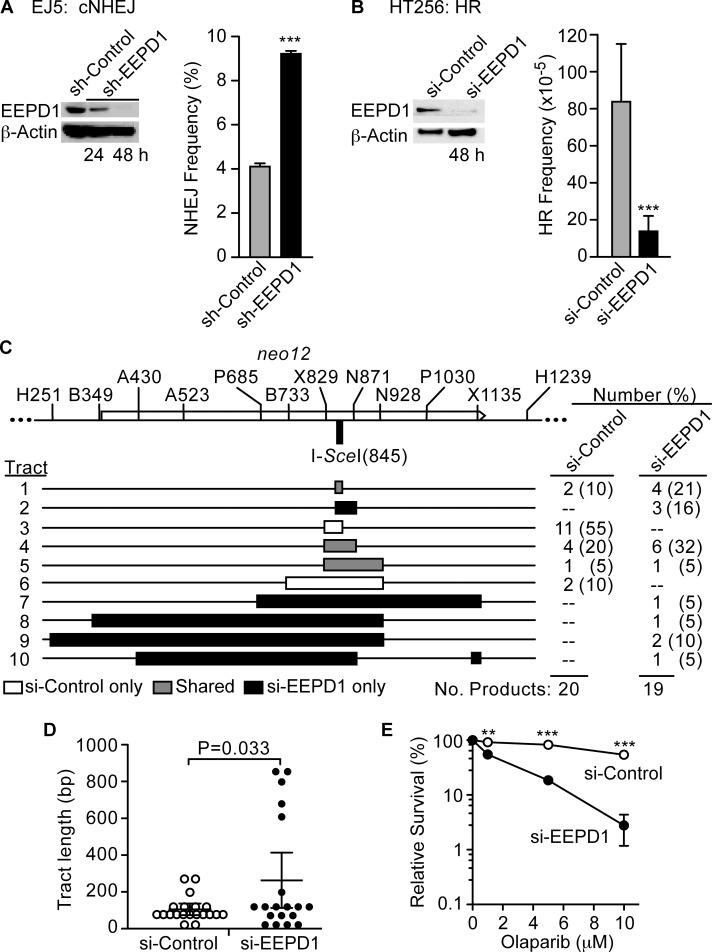 https://cdn.ncbi.nlm.nih.gov/pmc/blobs/4dda/4684289/630bd4bdc783/pgen.1005675.g003.jpg