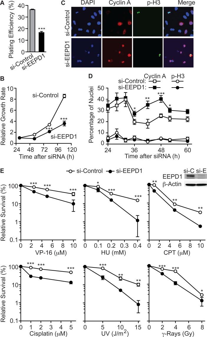 https://cdn.ncbi.nlm.nih.gov/pmc/blobs/4dda/4684289/9efe035812e0/pgen.1005675.g001.jpg