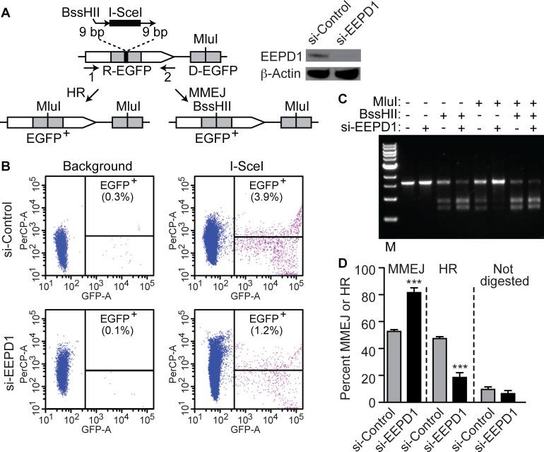 https://cdn.ncbi.nlm.nih.gov/pmc/blobs/4dda/4684289/fcdbc31becbd/pgen.1005675.g004.jpg