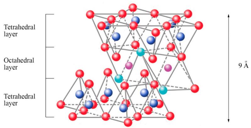 https://cdn.ncbi.nlm.nih.gov/pmc/blobs/4ddb/8348371/8d2a43f5d794/polymers-13-02399-g007.jpg