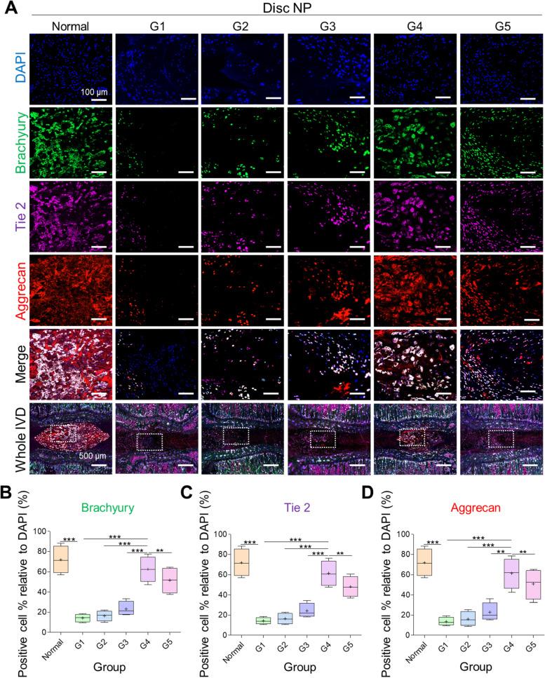 https://cdn.ncbi.nlm.nih.gov/pmc/blobs/4ddc/10061910/38118cfea056/40824_2023_368_Fig7_HTML.jpg