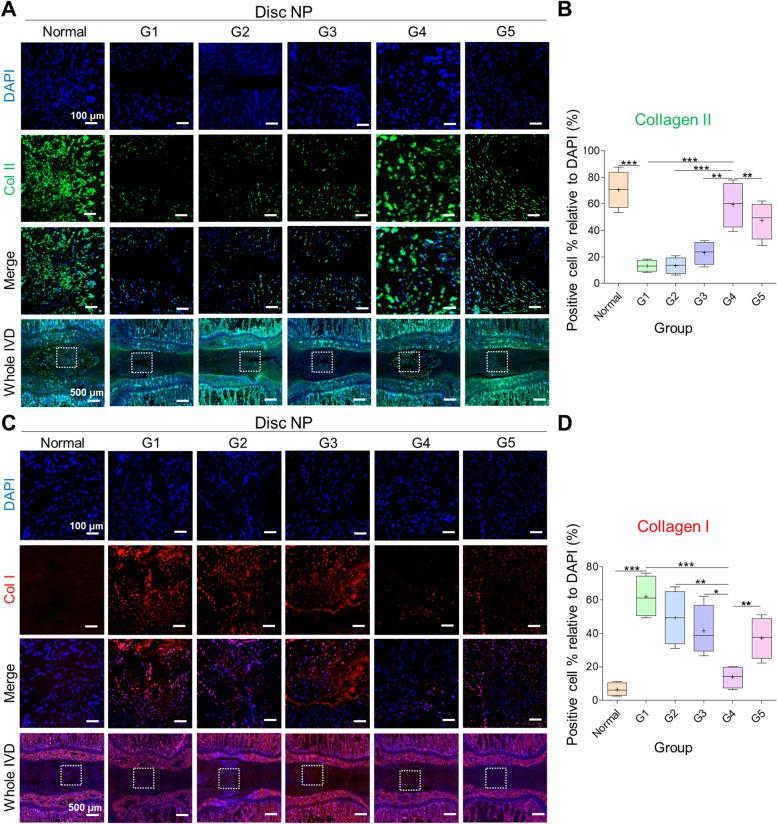 https://cdn.ncbi.nlm.nih.gov/pmc/blobs/4ddc/10061910/3d316902e386/40824_2023_368_Fig6_HTML.jpg