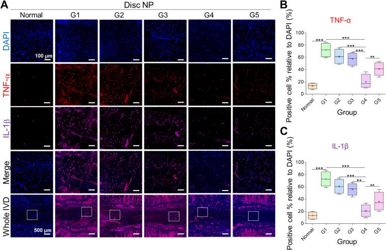 https://cdn.ncbi.nlm.nih.gov/pmc/blobs/4ddc/10061910/56ee25cf74e0/40824_2023_368_Fig8_HTML.jpg