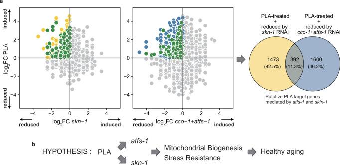 https://cdn.ncbi.nlm.nih.gov/pmc/blobs/4ddd/11686233/dbee72449990/41467_2024_55015_Fig4_HTML.jpg