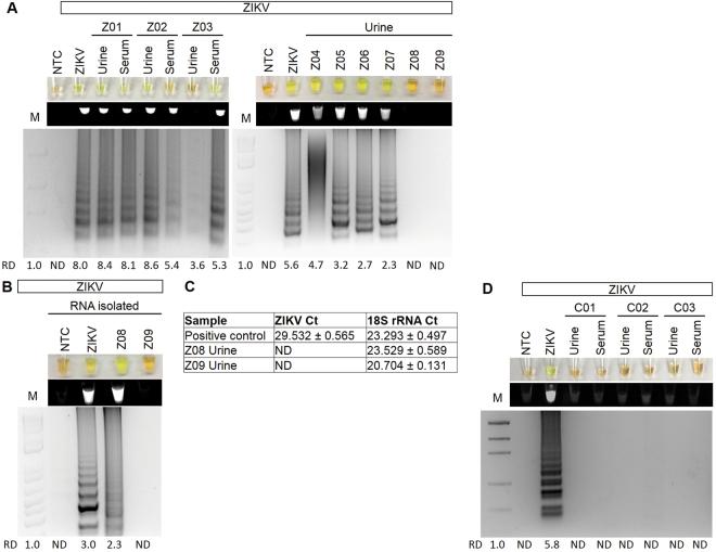 https://cdn.ncbi.nlm.nih.gov/pmc/blobs/4ddd/5830622/456d71df24ca/41598_2018_22102_Fig6_HTML.jpg
