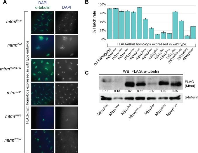 https://cdn.ncbi.nlm.nih.gov/pmc/blobs/4ddd/6340472/24e79afde2f0/msy197f6.jpg