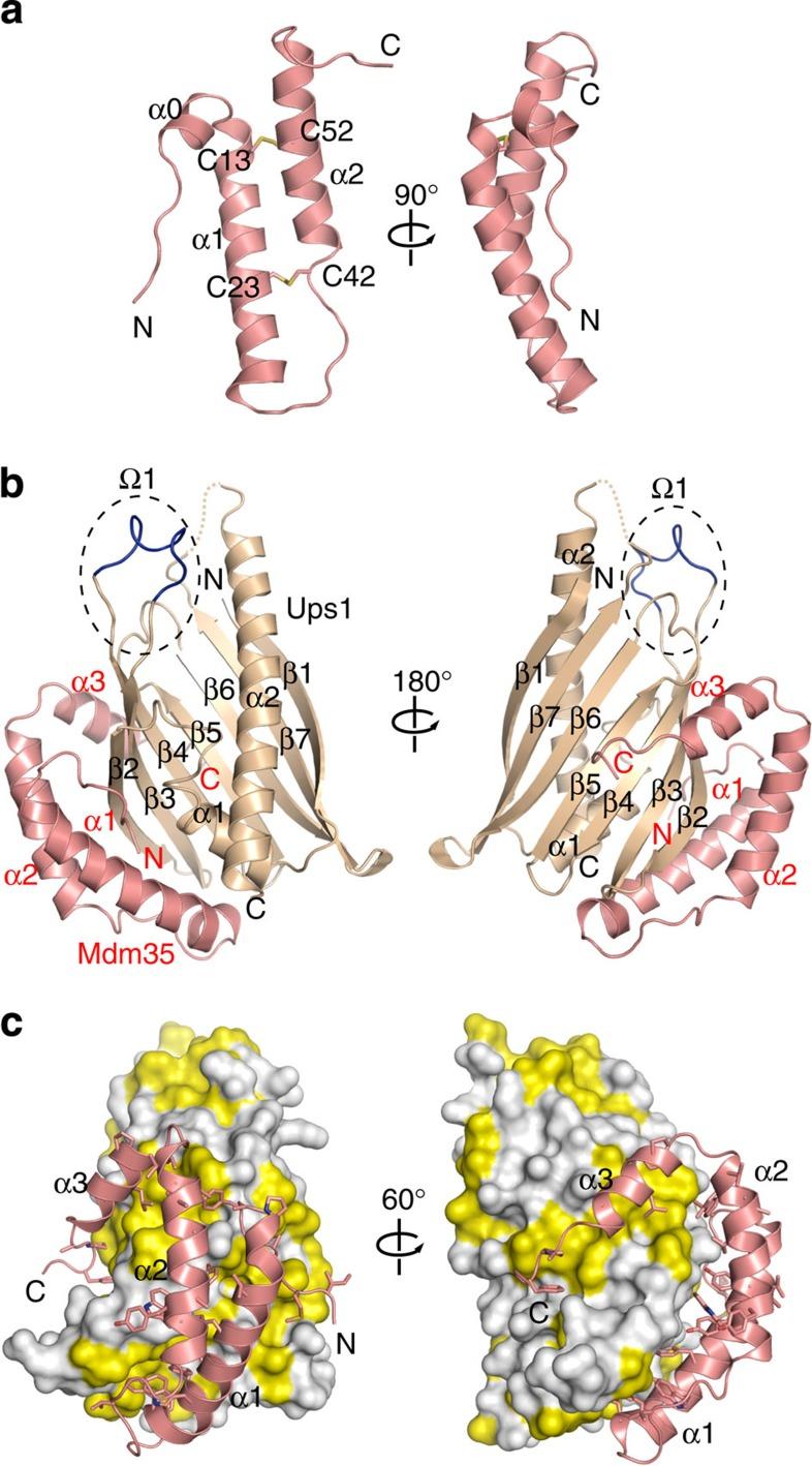 https://cdn.ncbi.nlm.nih.gov/pmc/blobs/4ddf/4532887/4f8f989e5b1b/ncomms8922-f1.jpg