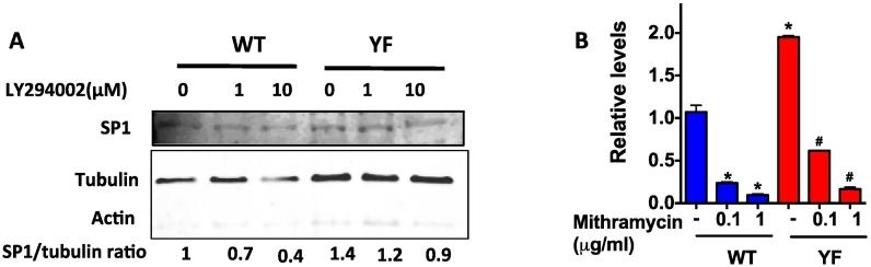 https://cdn.ncbi.nlm.nih.gov/pmc/blobs/4ddf/6449702/87275e4a961f/gr3.jpg