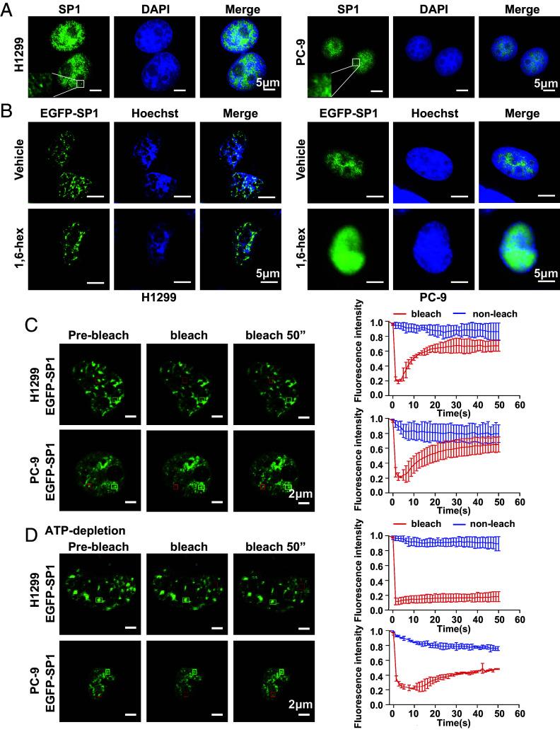 https://cdn.ncbi.nlm.nih.gov/pmc/blobs/4de0/11260144/476de6770523/pnas.2401834121fig01.jpg