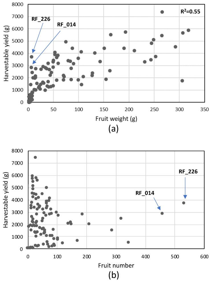 https://cdn.ncbi.nlm.nih.gov/pmc/blobs/4de0/7692805/ea7fd0a25133/genes-11-01278-g006.jpg