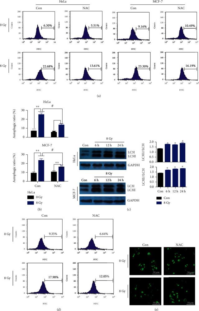 https://cdn.ncbi.nlm.nih.gov/pmc/blobs/4de0/8279859/f33ade61d7aa/OMCL2021-5595652.001.jpg