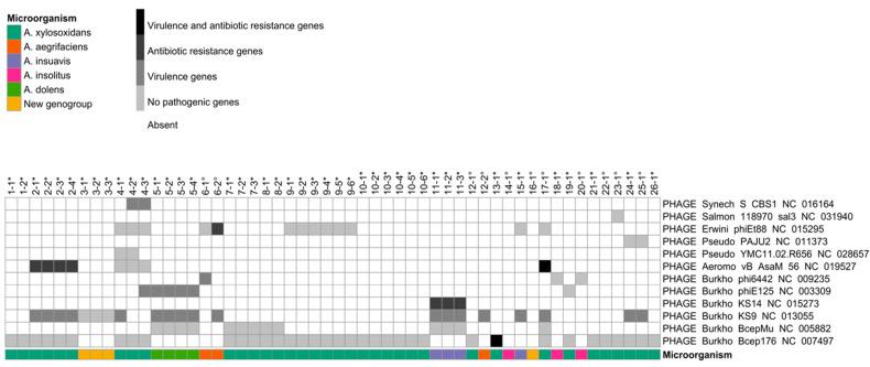https://cdn.ncbi.nlm.nih.gov/pmc/blobs/4de1/7826576/c499cff72898/microorganisms-09-00130-g001.jpg
