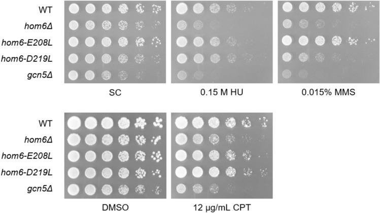 https://cdn.ncbi.nlm.nih.gov/pmc/blobs/4de3/11442984/30a96516c4de/41598_2024_72394_Fig5_HTML.jpg