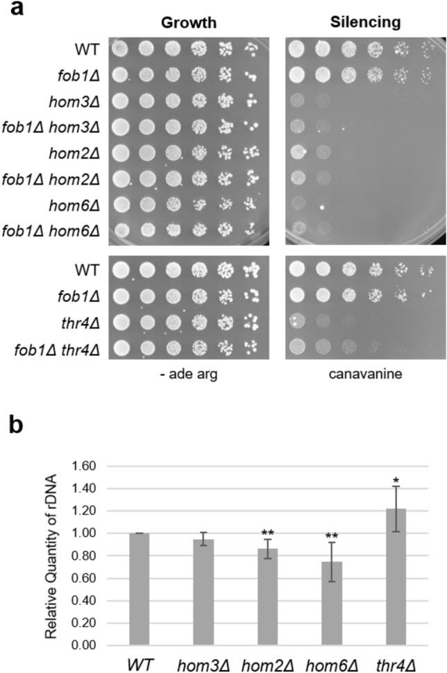 https://cdn.ncbi.nlm.nih.gov/pmc/blobs/4de3/11442984/845f57c64c4d/41598_2024_72394_Fig3_HTML.jpg