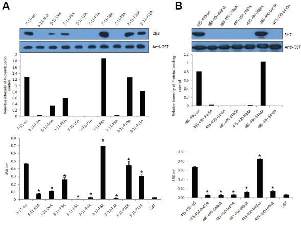https://cdn.ncbi.nlm.nih.gov/pmc/blobs/4de4/4916397/c84f4ee947f1/molce-39-6-460f3.jpg