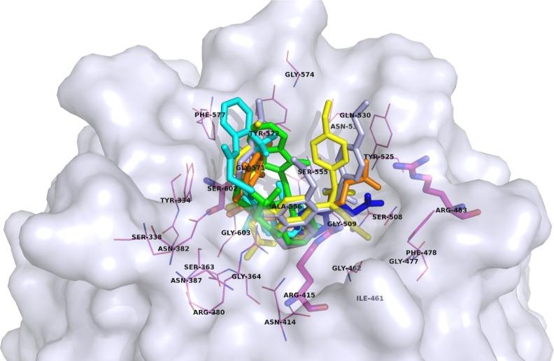https://cdn.ncbi.nlm.nih.gov/pmc/blobs/4de4/6161735/1b90cf742b26/dddt-12-3181Fig4.jpg