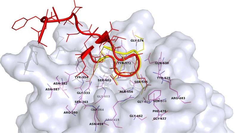 https://cdn.ncbi.nlm.nih.gov/pmc/blobs/4de4/6161735/1daafa3bb6b2/dddt-12-3181Fig2.jpg