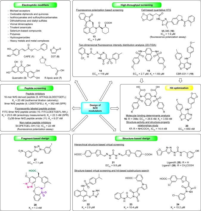 https://cdn.ncbi.nlm.nih.gov/pmc/blobs/4de4/6161735/252e31121620/dddt-12-3181Fig3.jpg