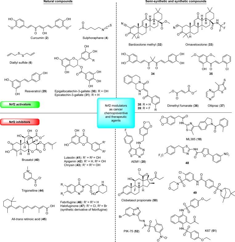 https://cdn.ncbi.nlm.nih.gov/pmc/blobs/4de4/6161735/3f8d5ddb8368/dddt-12-3181Fig5.jpg
