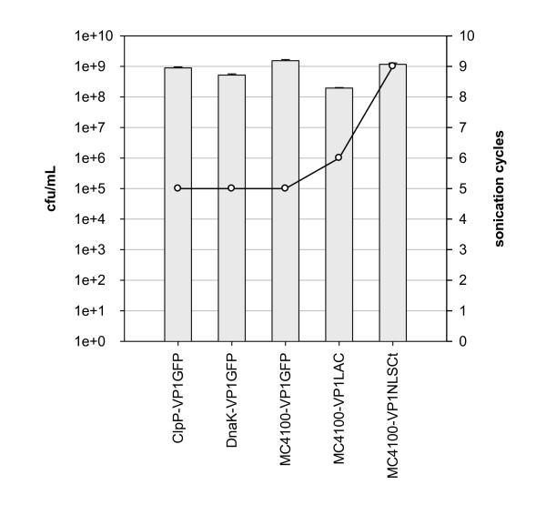 https://cdn.ncbi.nlm.nih.gov/pmc/blobs/4de5/2949796/22b09ccc581b/1475-2859-9-71-4.jpg